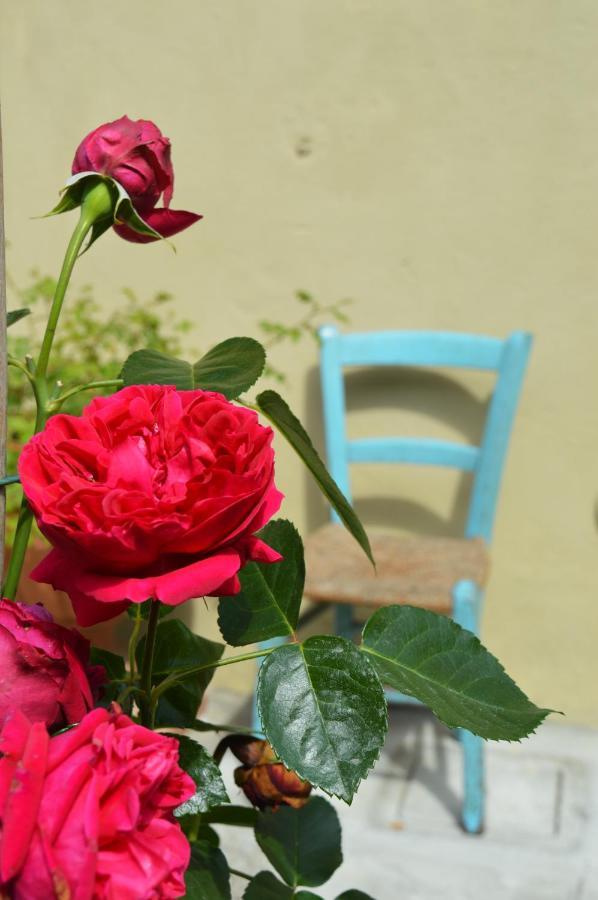 B&B Lady Cocca Savio di Ravenna Extérieur photo